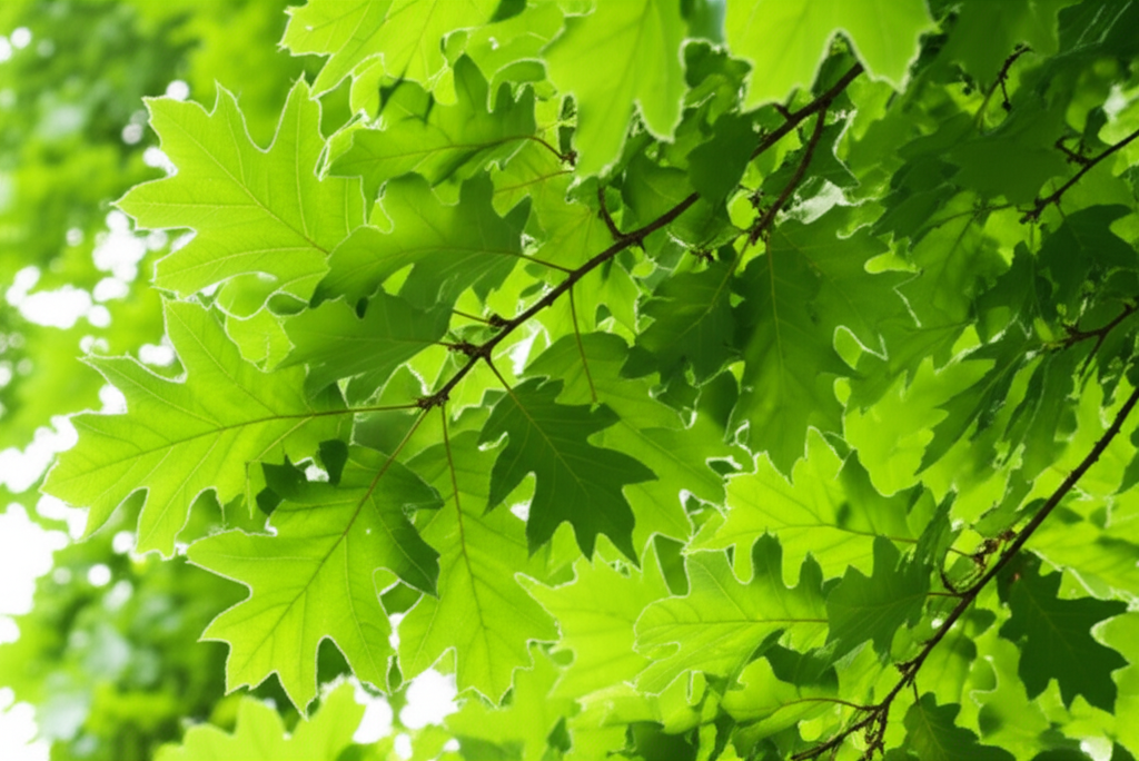 Healthy tree